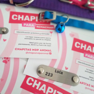 CHAPITA PARA REMACHAR